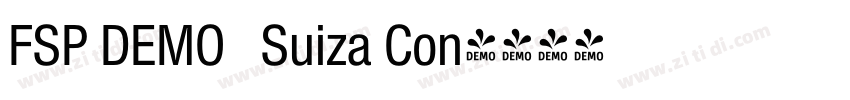 FSP DEMO   Suiza Con字体转换